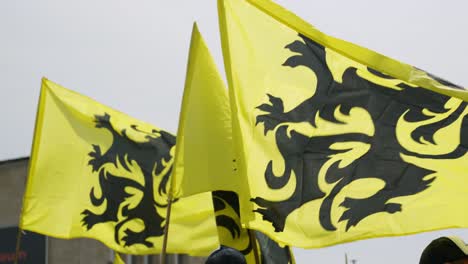 Several-Flags-of-Flanders,-called-the-Vlaamse-Leeuw