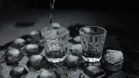 pouring vodka into shot glasses on a bed of ice