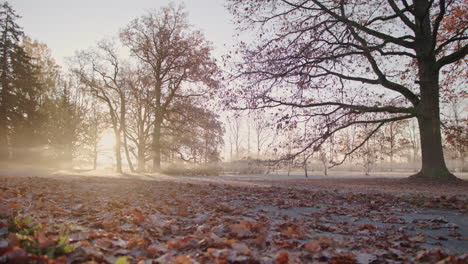 a red sports car flies past camera through colourful autumn foliage on an early golden sunrise, with leaves flying in the air on a foggy morning.