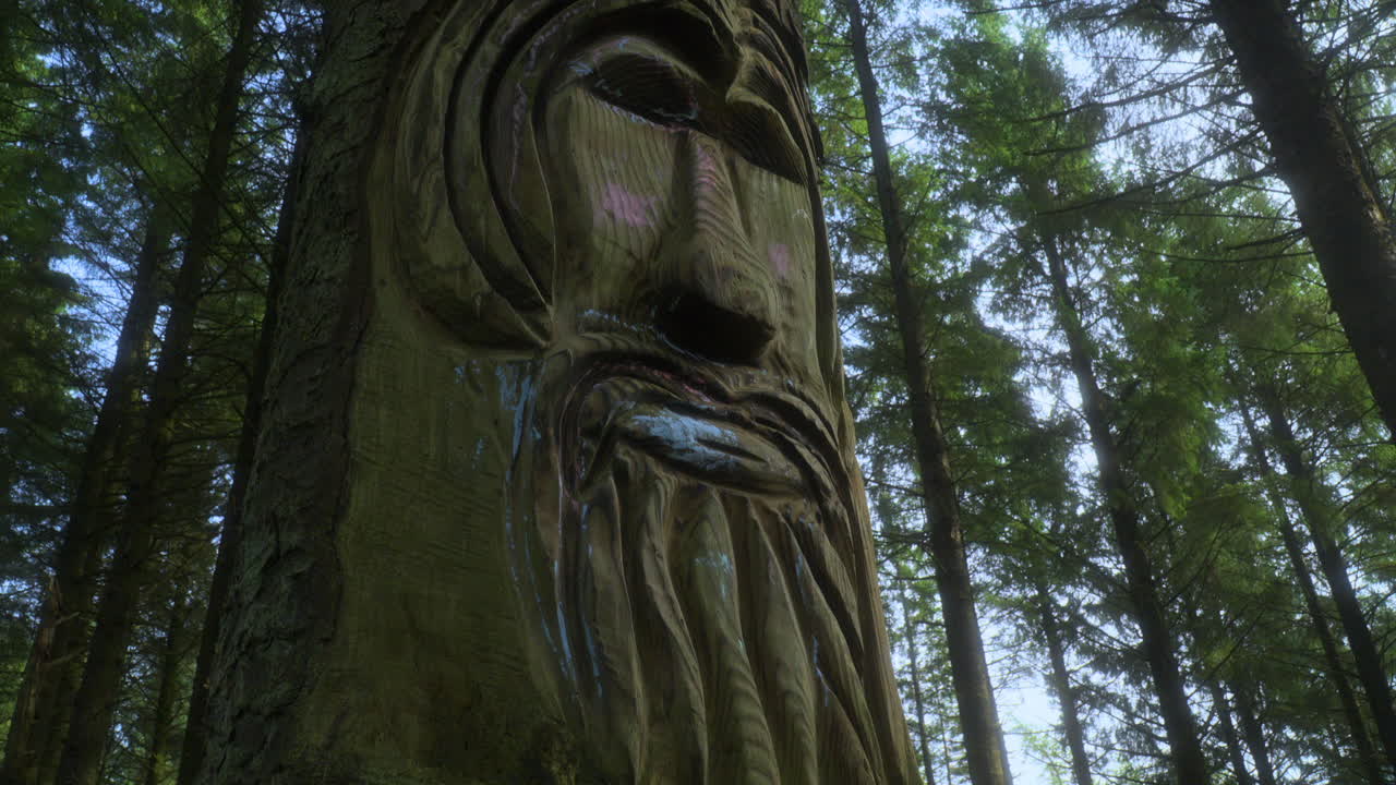 pan up revela la cara tallada en el tronco del árbol en el bosque de pinos con árboles balanceándose en el fondo en un día de verano