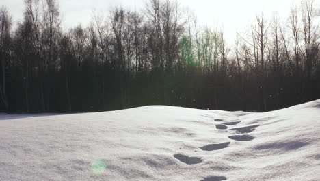 Panorama-Von-Schritten-Im-Schnee,-Während-Glitzernde-Kristallschneeflocken-In-Zeitlupe-Fallen