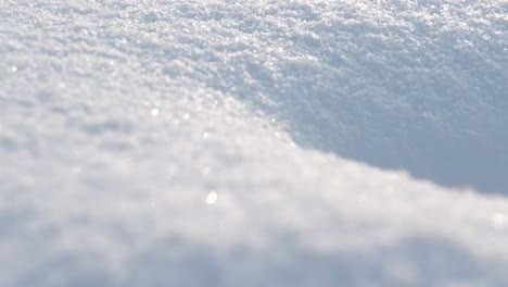 snow close up rack focus macro shot