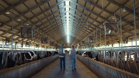 dos agricultores caminando por el pasillo del establo de vacas. profesionales de la granja lechera en el trabajo.