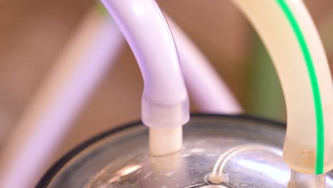 close shot of tubes with milk, milking farm animals, dairy production equipment