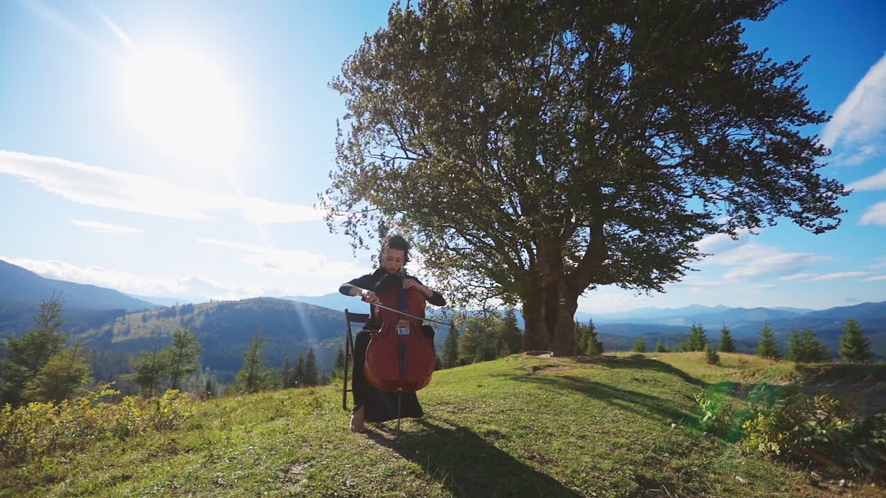 Cellist in Mountain Meadow
