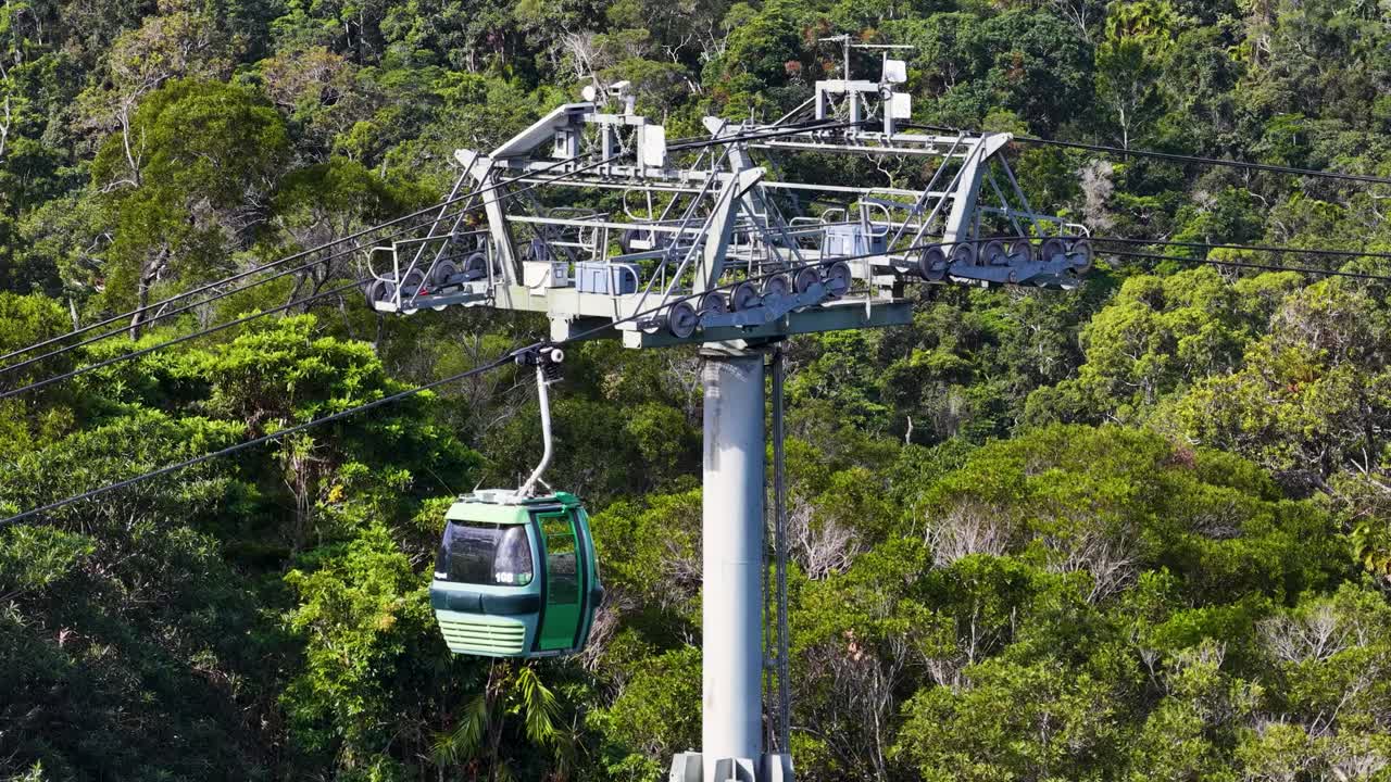 Cable cars glide over dense rainforest, showcasing serene views and vibrant greenery under bright daylight