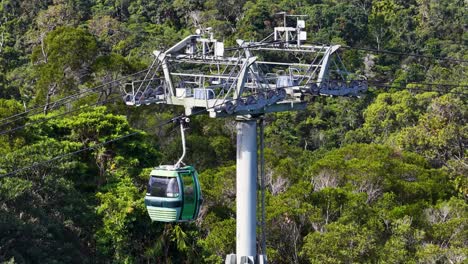 cable cars glide over dense rainforest, showcasing serene views and vibrant greenery under bright daylight