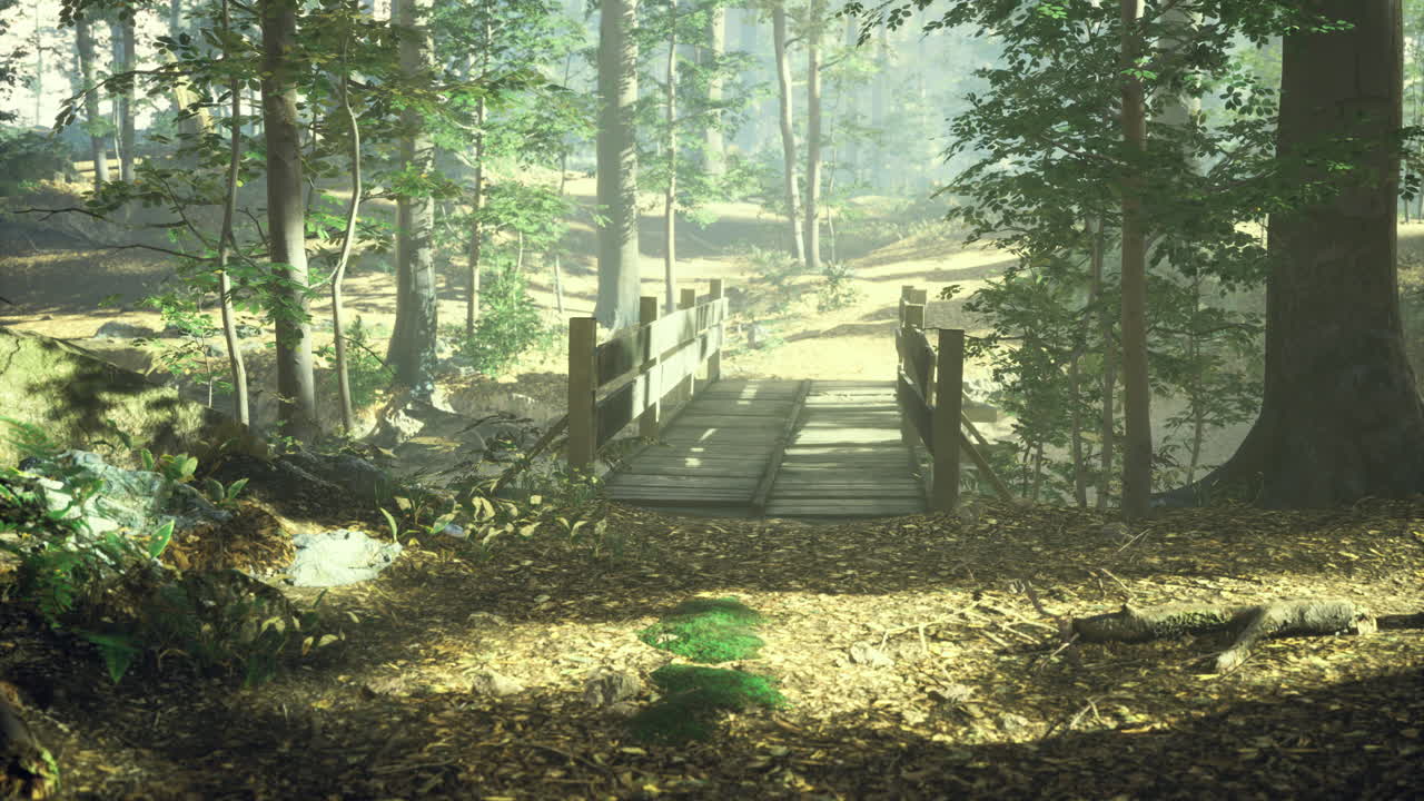 빛은 평화로운 숲의 나무 다리 위의 나무를 통해 필터링됩니다.