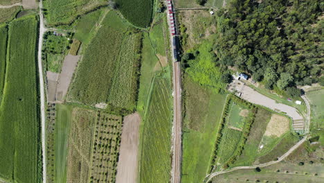 vista de arriba hacia abajo de un largo tren que viaja y pasa por los exuberantes campos agrícolas en un día soleado de verano en portugal
