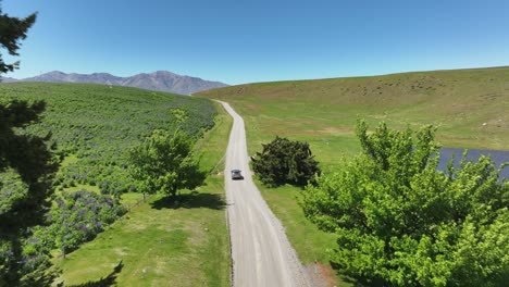coche que viaja por un camino de tierra a través del verde paisaje rural de nueva zelanda, aéreo