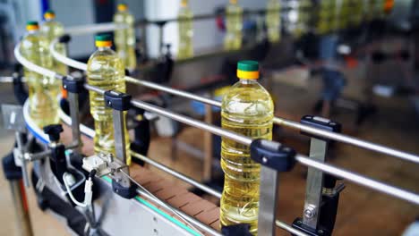 industry of producing natural cooking oil. packed bottles of refined oil moving on a conveyor. interior of contemporary sunflower factory.