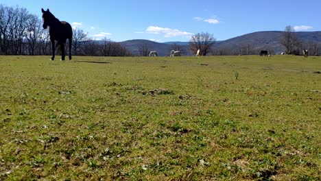 Wide-shot-of-the-countryside-on-a-sunny-day