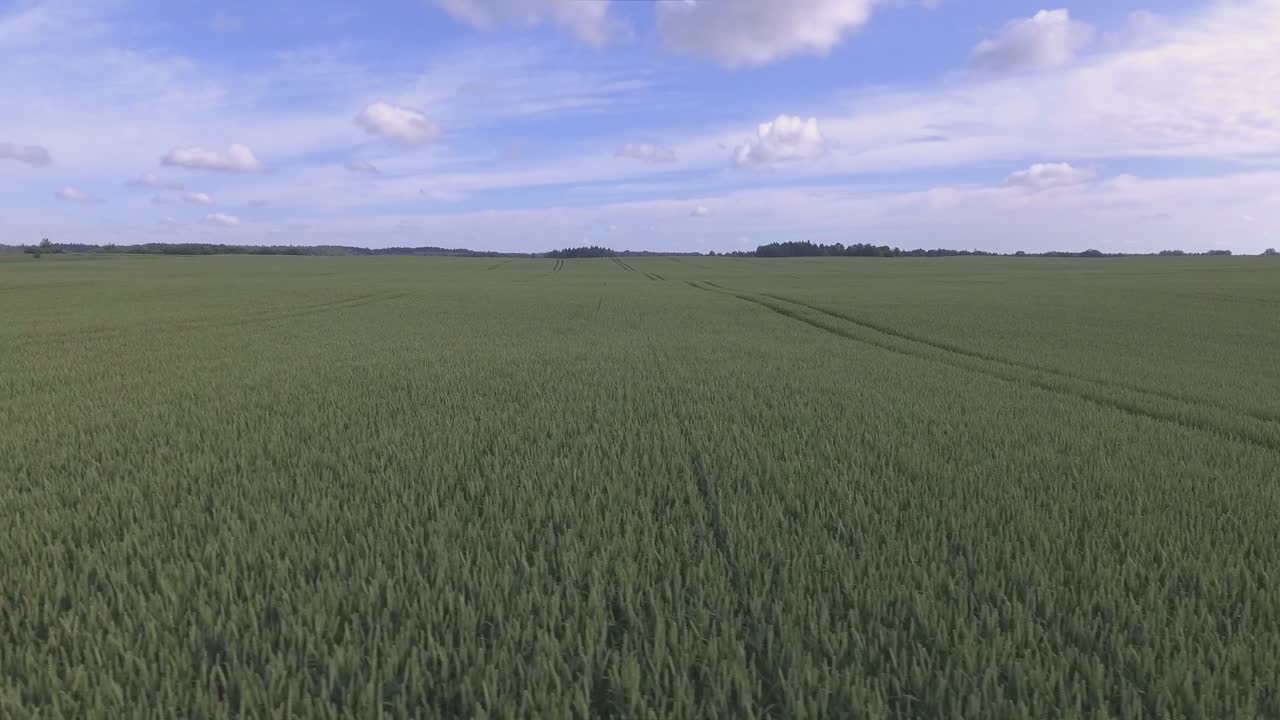 Waving Green Agricultural Fields On A Cloudy Summer Day. Aerial Low Track Left Shot