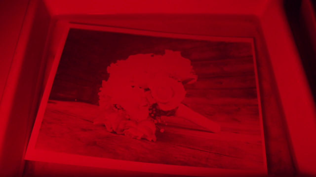 Darkroom laboratory photography developing black and whit monochrome photo print under red light