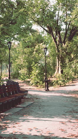 a scenic pathway through a park with benches and streetlights