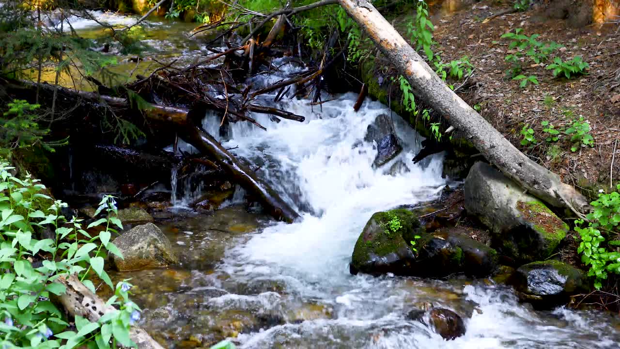 Static video of a creek flowing in Breckenridge Colorado. This scenic shot shows a creek flowing through the wilderness with rocks and logs