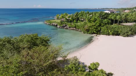 white sandy beach playa caleton with lush vegetation on shore of la romana, dominican republic. aerial ascend