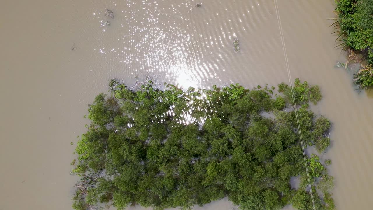 Trees Submerged In The Floodwater after The Storm. - aerial shot