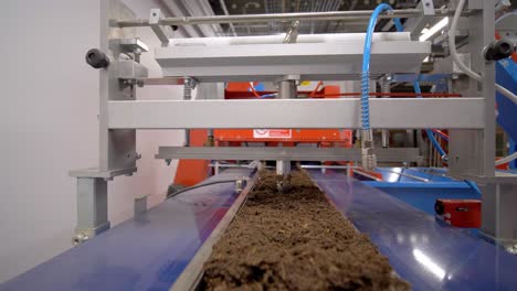 automated seed planting system: enhancing industrial agriculture through efficient seeding