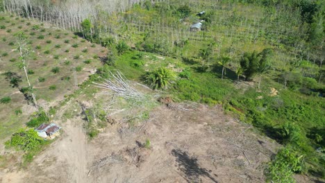 deforested land in southern thailand