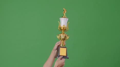 hand holding a golden trophy on green screen