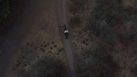 Aerial---Girl-Riding-Horse-Walking-In-The-Forest