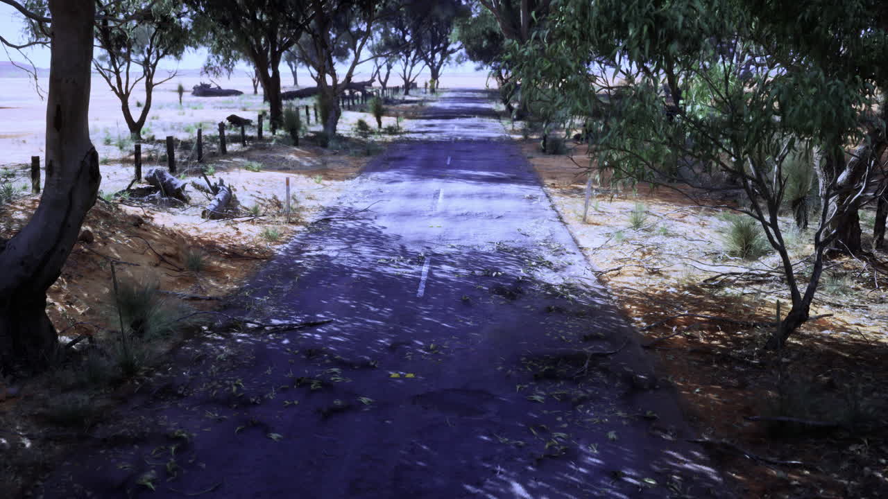 Pathway lined with trees surrounded by nature on a sunny day in rural area
