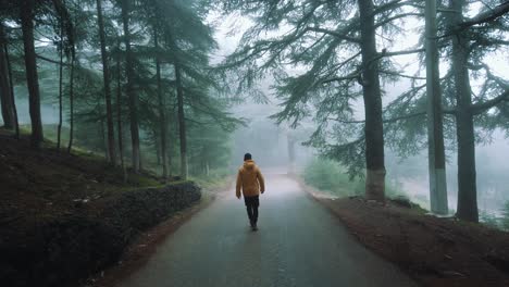 Un-Tipo-Con-Chaqueta-Amarilla-Caminando-Dentro-De-Un-Bosque-Lleno-De-Cedros,-En-Una-Carretera-Asfaltada-Y-Con-Niebla,-En-Chrea---Argelia