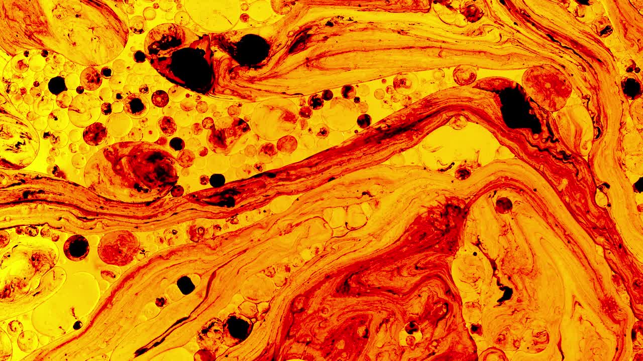 Colorful oil drops floating on water surface, top view. Fantastic abstract background. Bright bubbles moving and spreading. Close up 4k video of weird liquid structures. Scientific chemical experiment