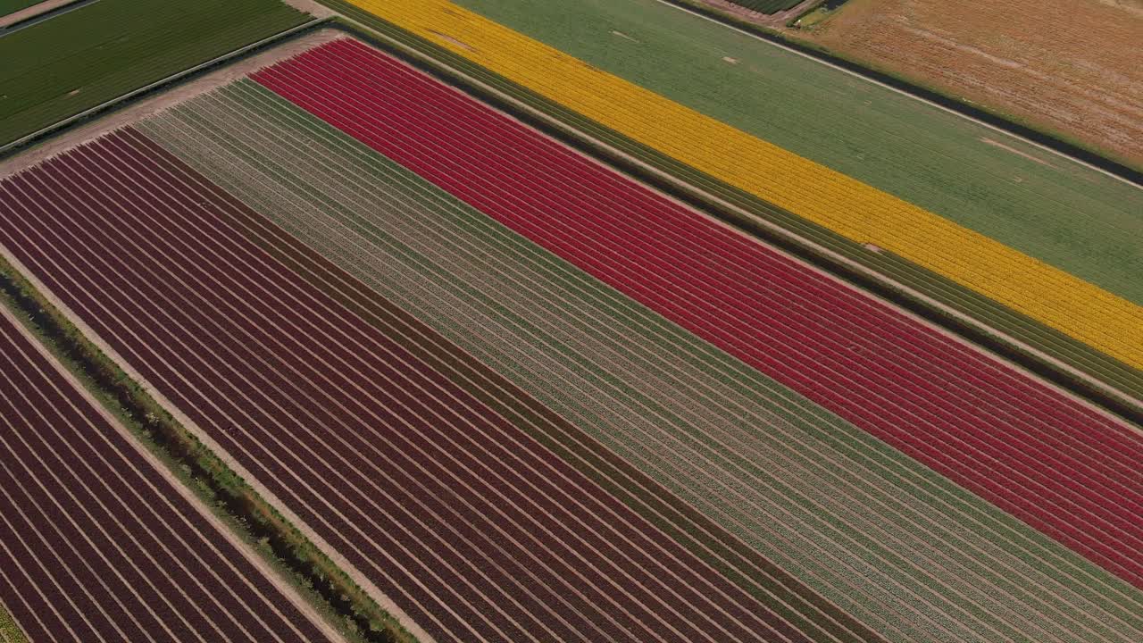 탑다운 드론샷에서 와이드 샷으로