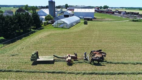 an aerial view of an amish farmers harvesting there crops with five horses pulling there bailer on a sunny summer day