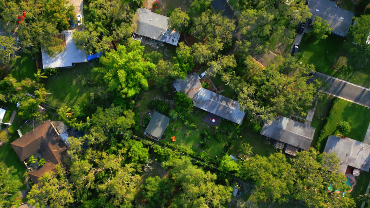 Veduta aerea panoramica dall'alto di un quartiere suburbano di Tampa con prati, alberi e piscine delle case