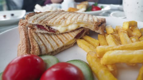 grilled cheese sandwich with fries and vegetables