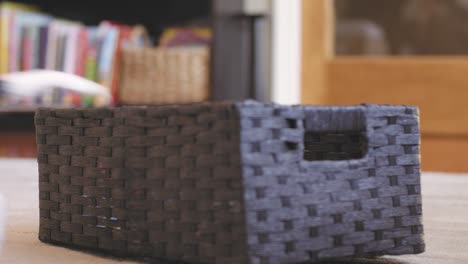 cute puppy playing inside a basket and getting a fluffy chew toy.