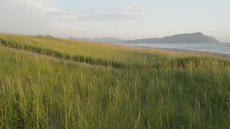 dolly above sandy grassland plains to pathway connecting top of slope down to beach, slow motion