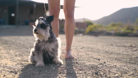 Grab-the-leash,-we're-going-on-an-adventure