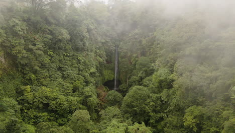 mglisty zielony las z wodospadem pucak manik w wanagiri, bali, indonezja