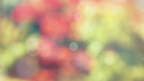 Abstract spring background with bokeh