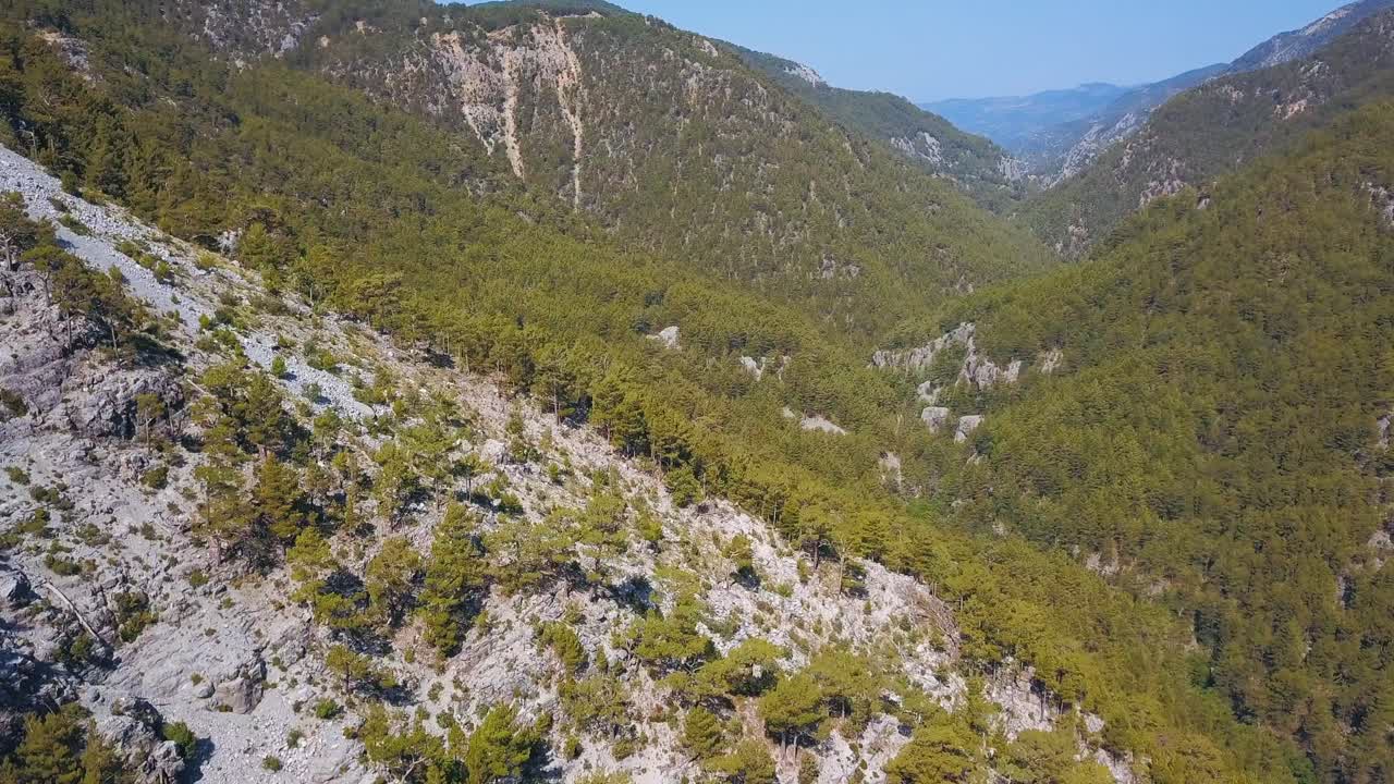 paisaje de valle de bosque montañoso
