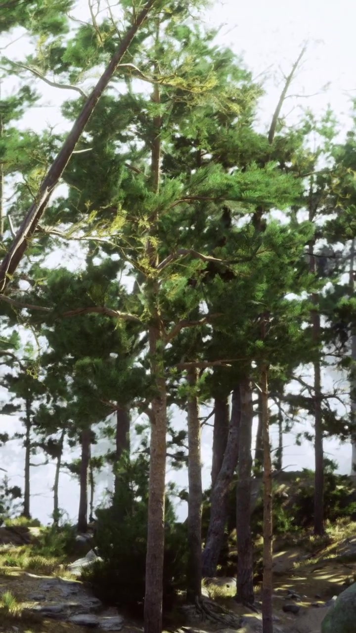 Alberi alti in piedi vicino a un lago con la luce del sole che filtra tra i rami