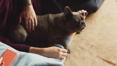 Vista-Superior-De-Una-Pareja-Acariciando-A-Su-Perro-Bulldog-Tirado-En-El-Suelo-En-La-Sala-De-Estar