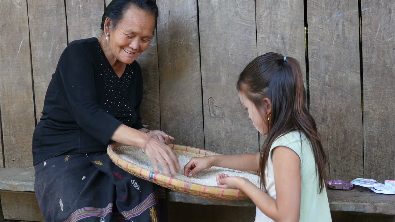 Grandmother and Grandchild Harvesting Rice
