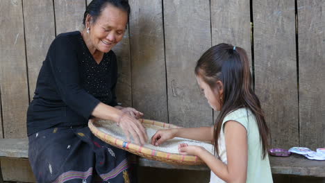 grandmother and grandchild harvesting rice