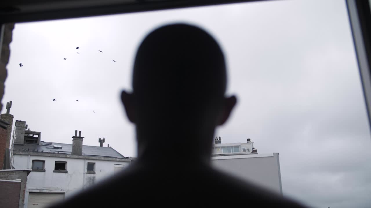 Silhouette man watches birds outside apartment window on quiet overcast urban morning