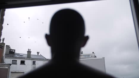 silhouette man watches birds outside apartment window on quiet overcast urban morning