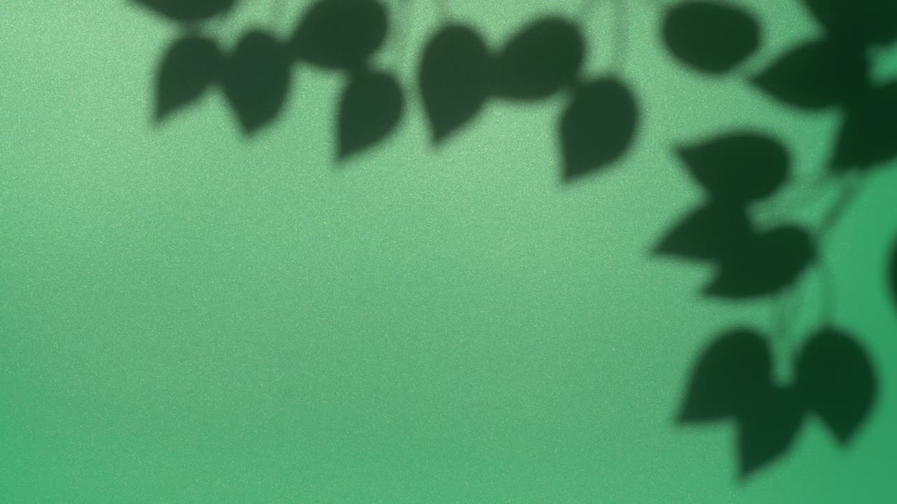 Abstract nature background of leaves shadow silhouette on wall moving by wind