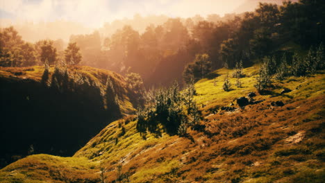 Sunset-in-mountain-with-green-grass-and-trees