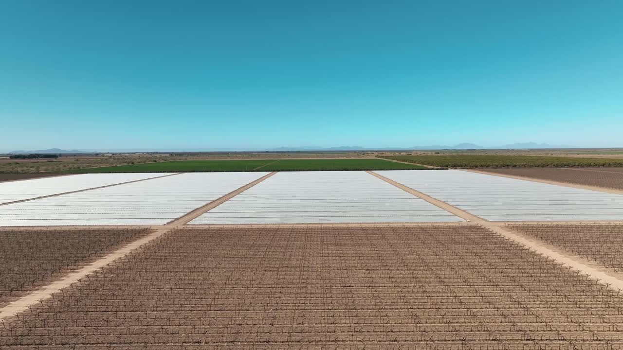 식탁 포도 들 위 를 날아다니는 드론 의 공중 촬영