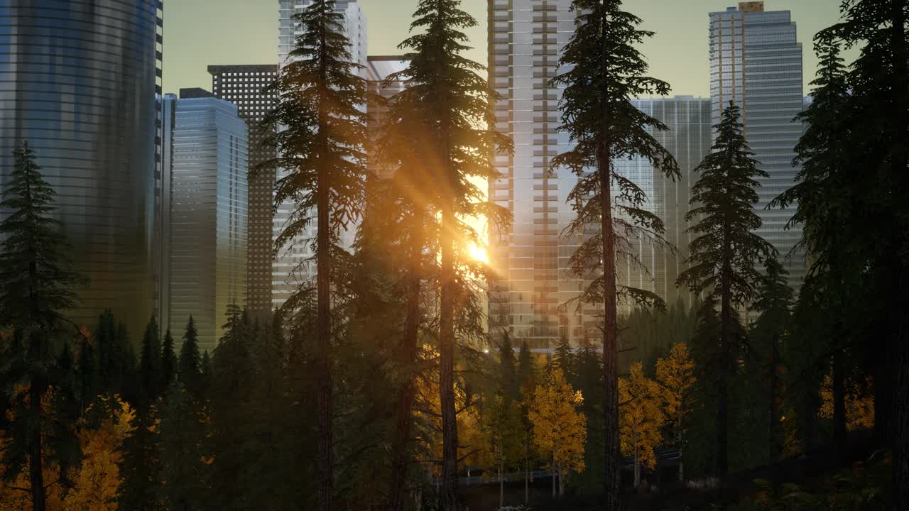 Encosta Arborizada e Paisagem Urbana