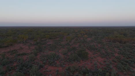 Schwenk-Drohnenclip,-Der-Die-Einheimische-Vegetation-Im-Australischen-Outback-Und-Den-Klaren-Horizont-Zeigt